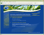 Website Design